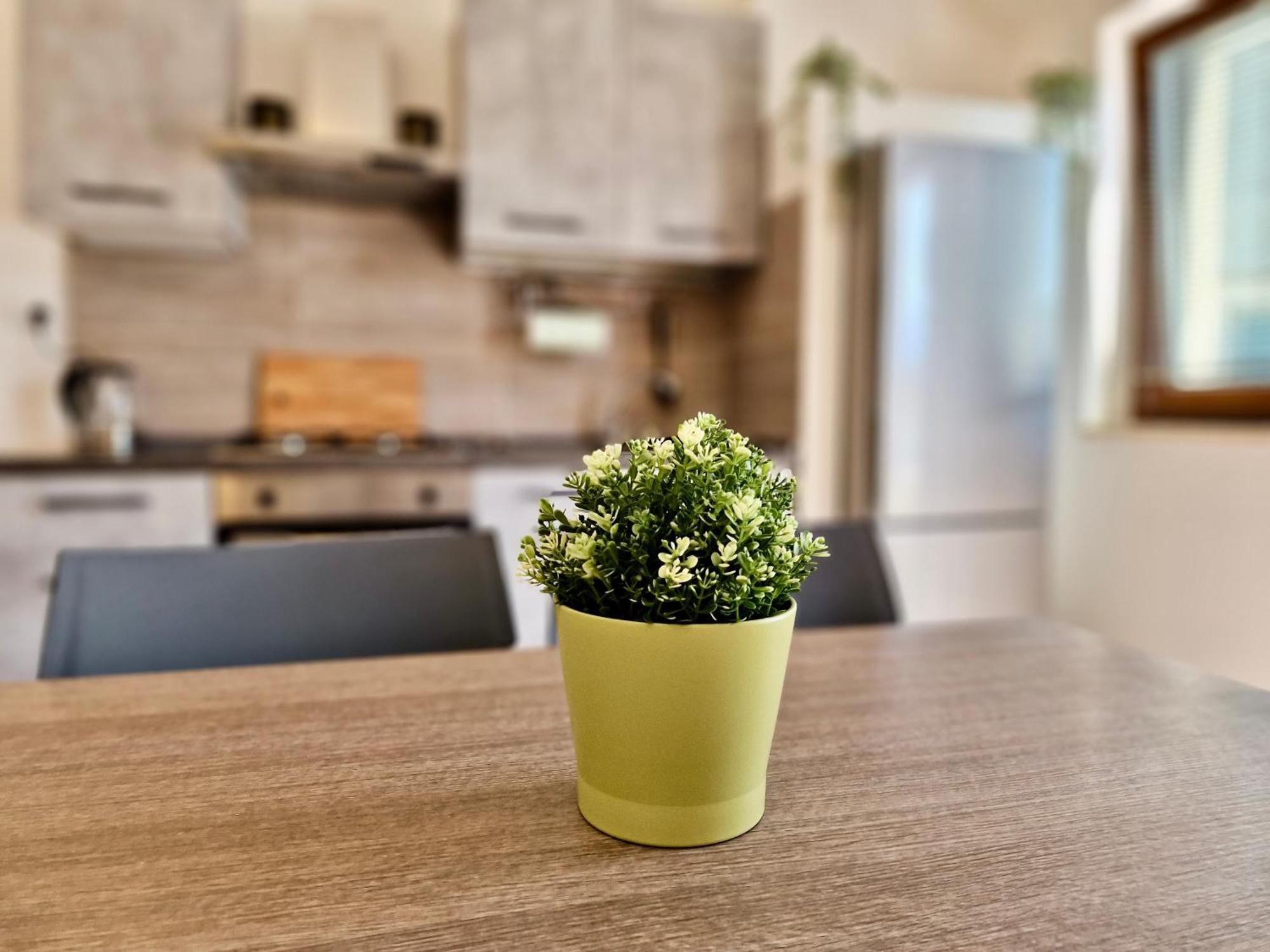 Casa Elena By Tramonti Apartments LʼAquila المظهر الخارجي الصورة